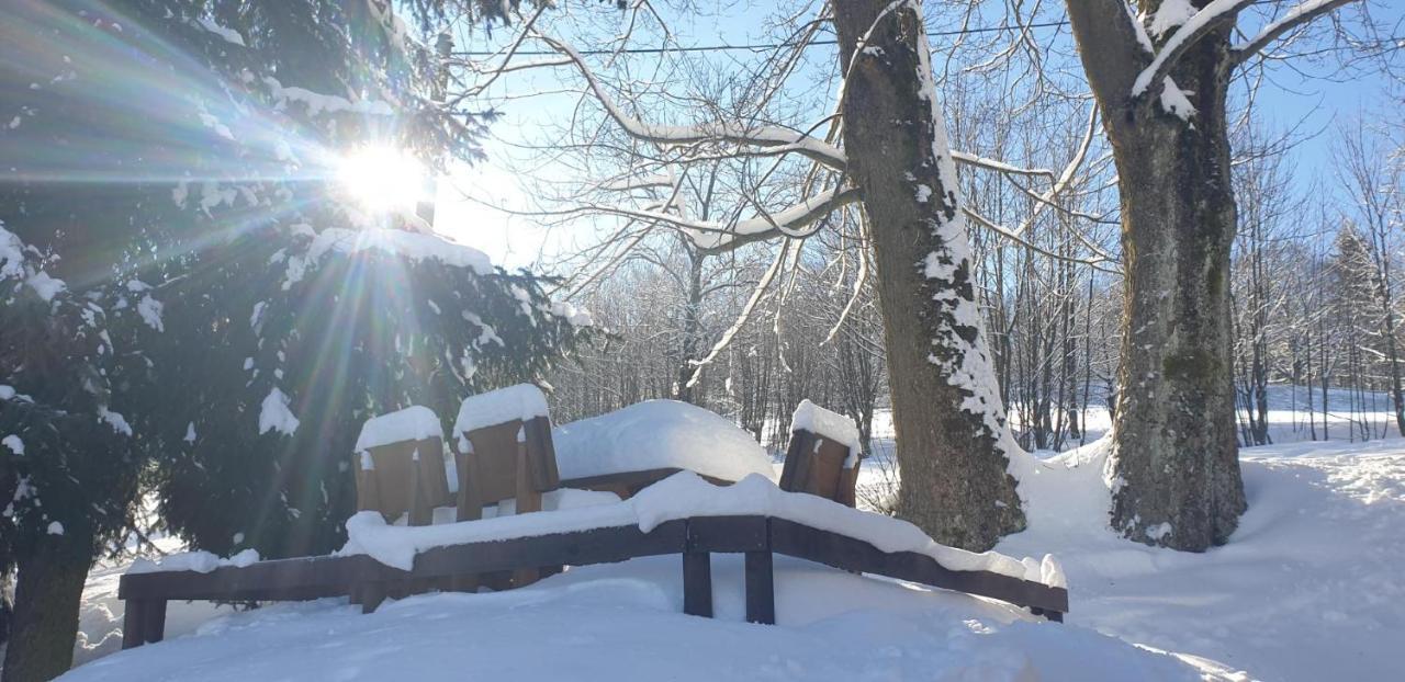 Penzion Harry Na Sjezdovce Krkonose Vysoké nad Jizerou Dış mekan fotoğraf
