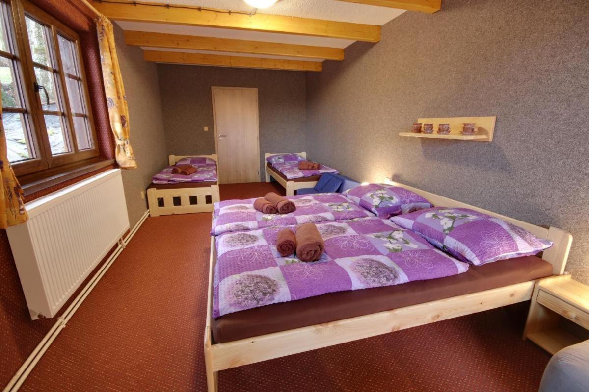 Penzion Harry Na Sjezdovce Krkonose Vysoké nad Jizerou Dış mekan fotoğraf
